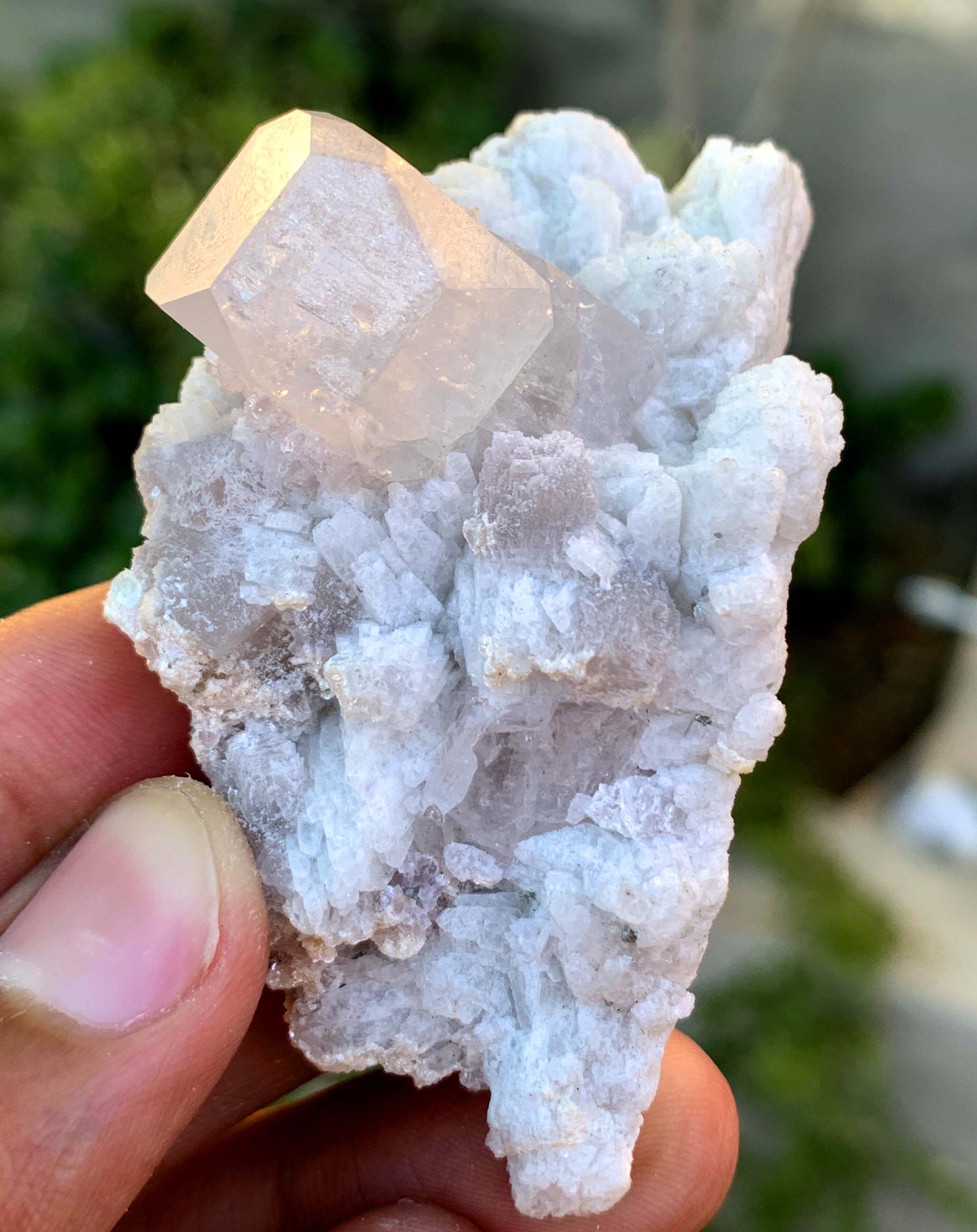 Natural Terminated Pink Morganite Crystal On Albite From Afghanistan - 55 Gram
