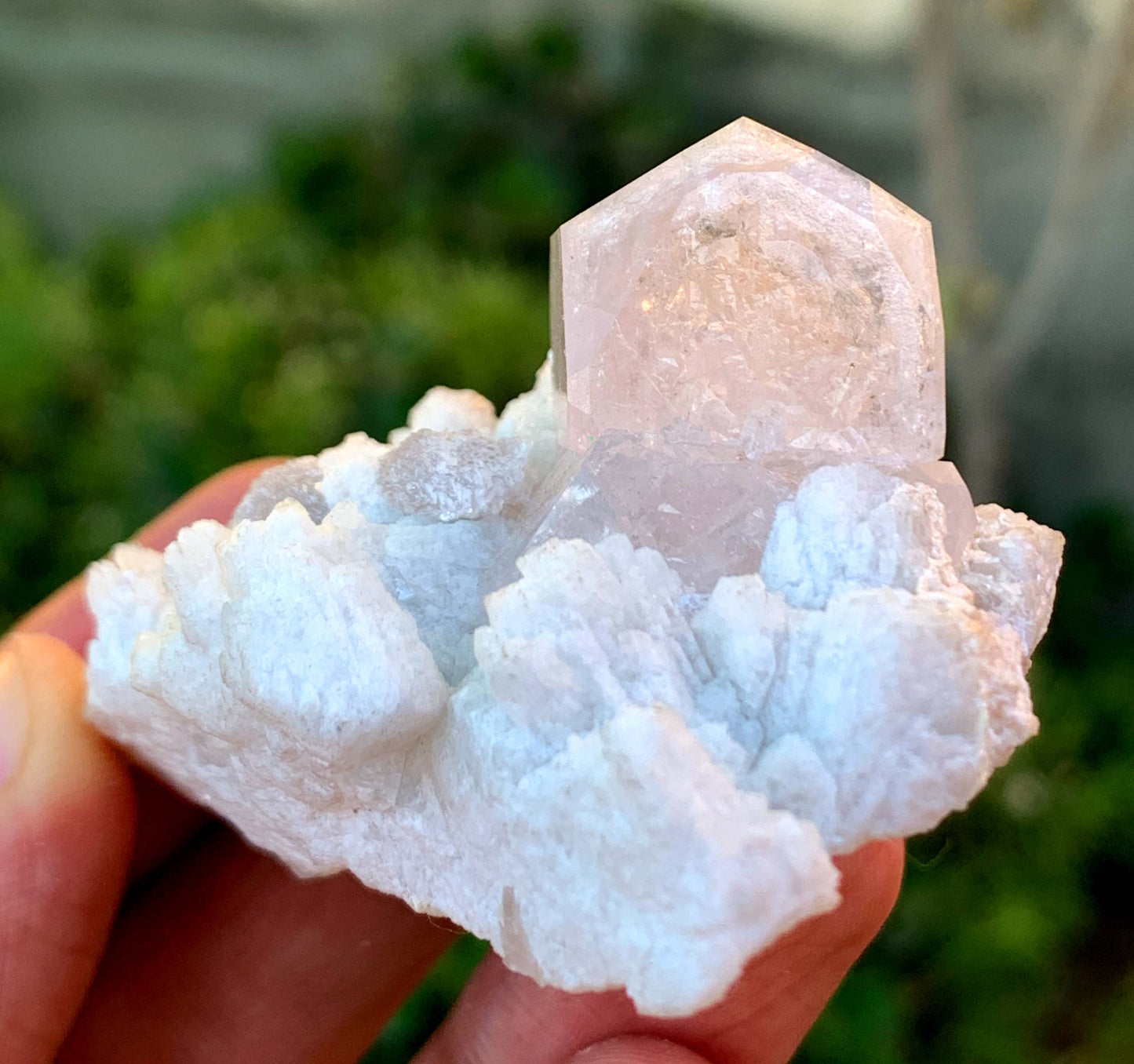Natural Terminated Pink Morganite Crystal On Albite From Afghanistan - 55 Gram