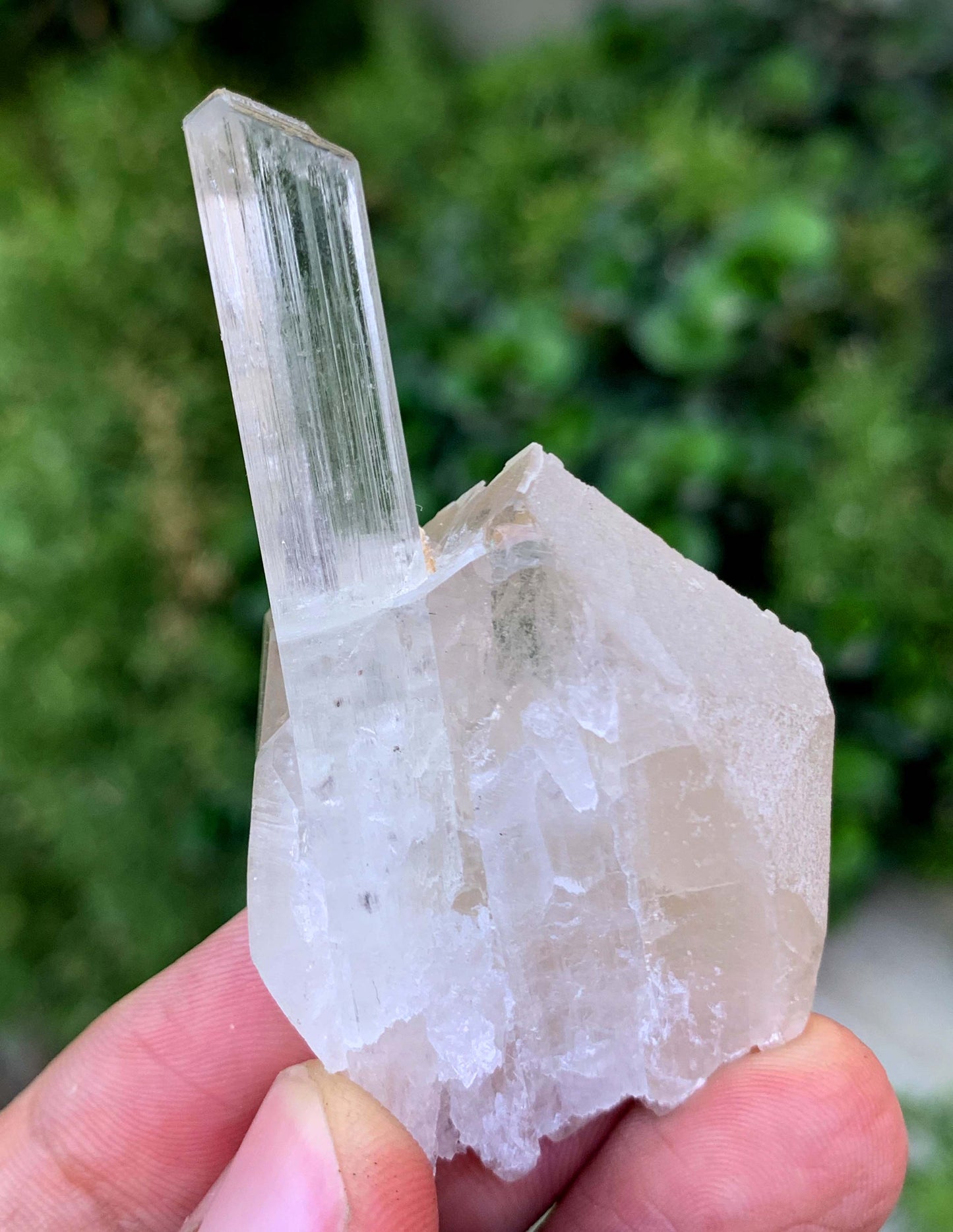 Natural Terminated Yellow Triphane Kunzite On Quartz From Afghanistan