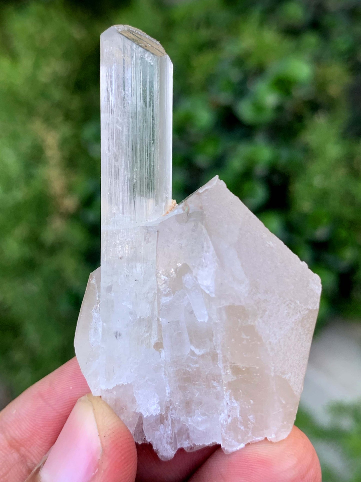 Natural Terminated Yellow Triphane Kunzite On Quartz From Afghanistan