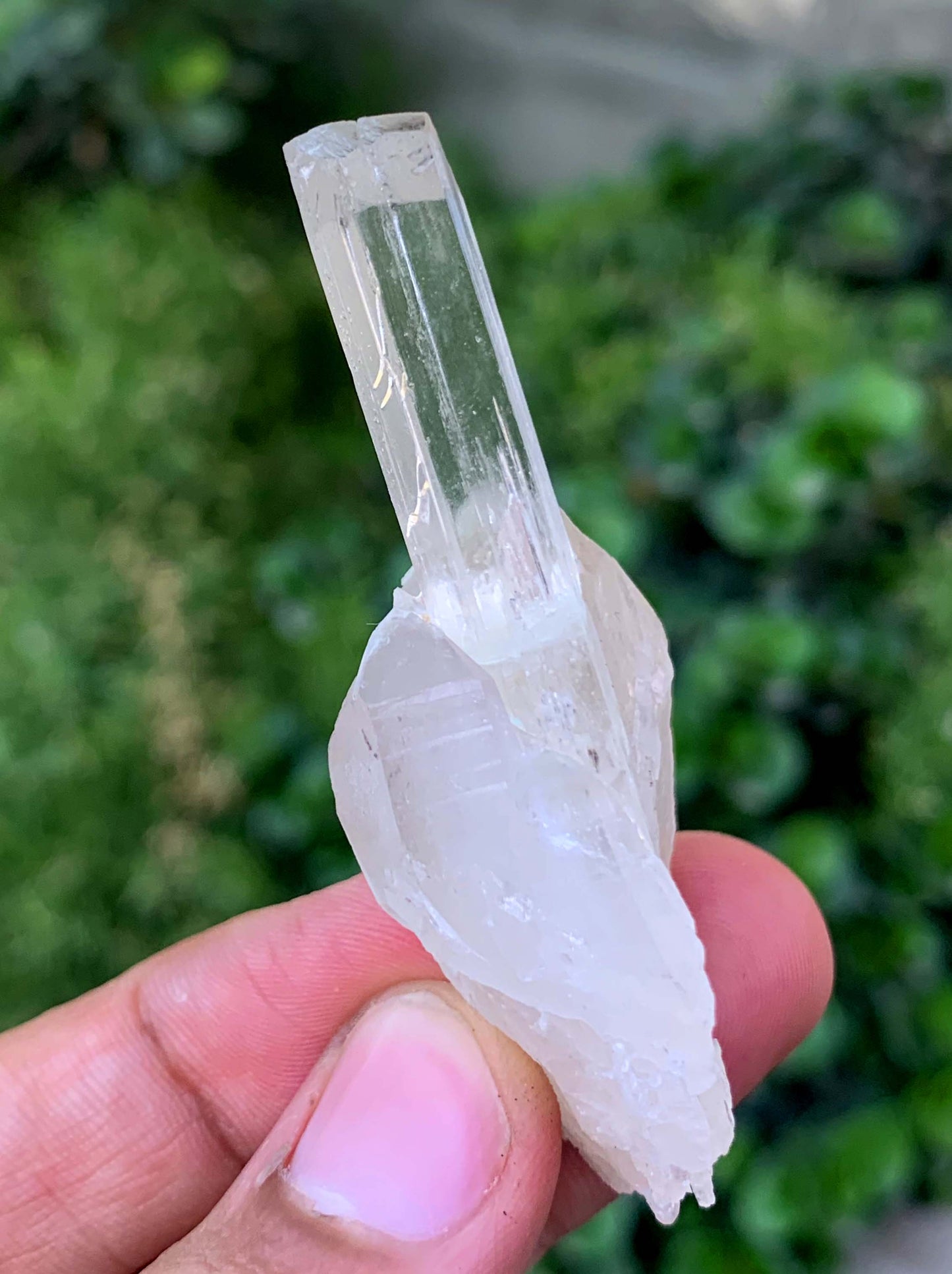 Natural Terminated Yellow Triphane Kunzite On Quartz From Afghanistan