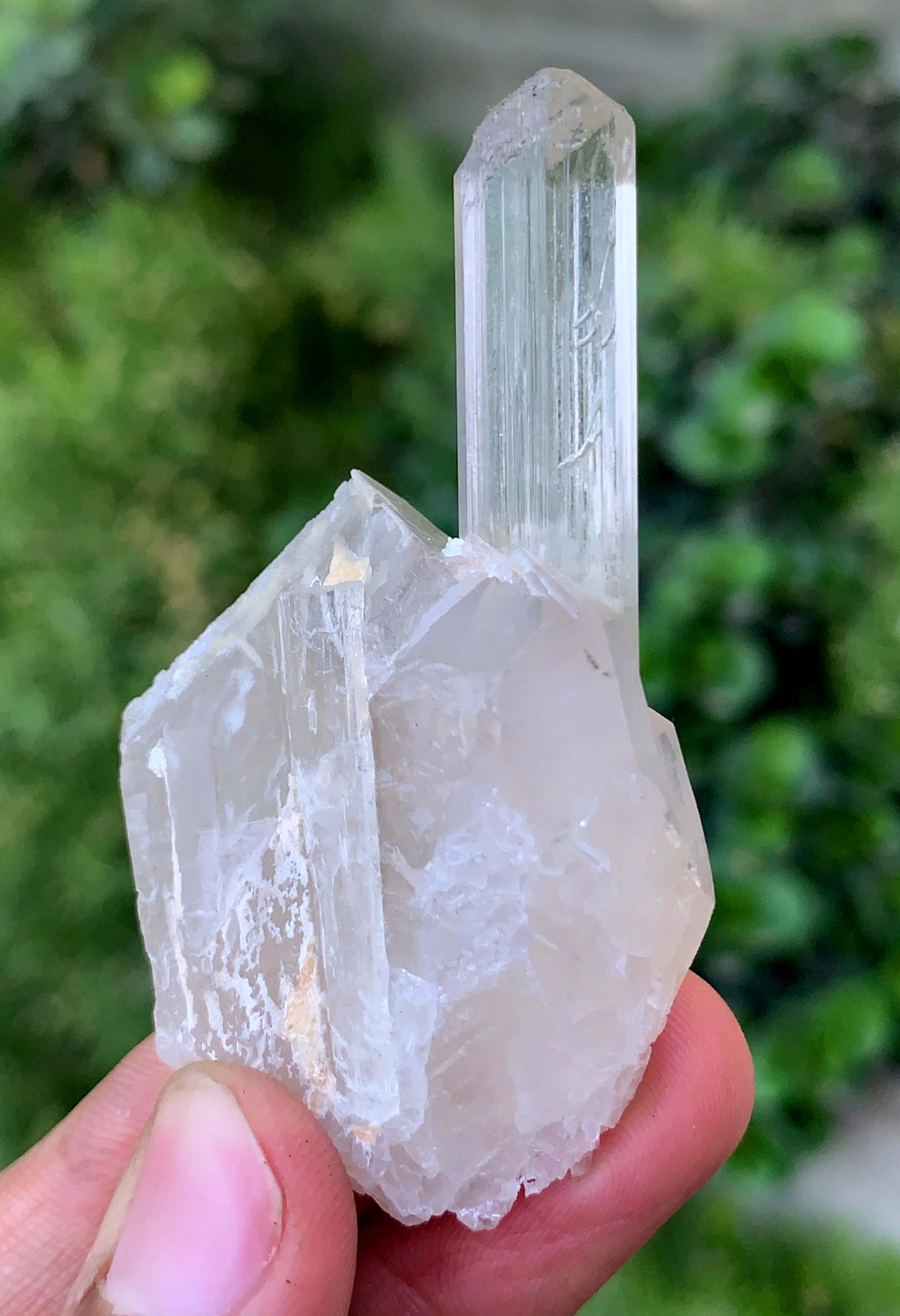 Natural Terminated Yellow Triphane Kunzite On Quartz From Afghanistan