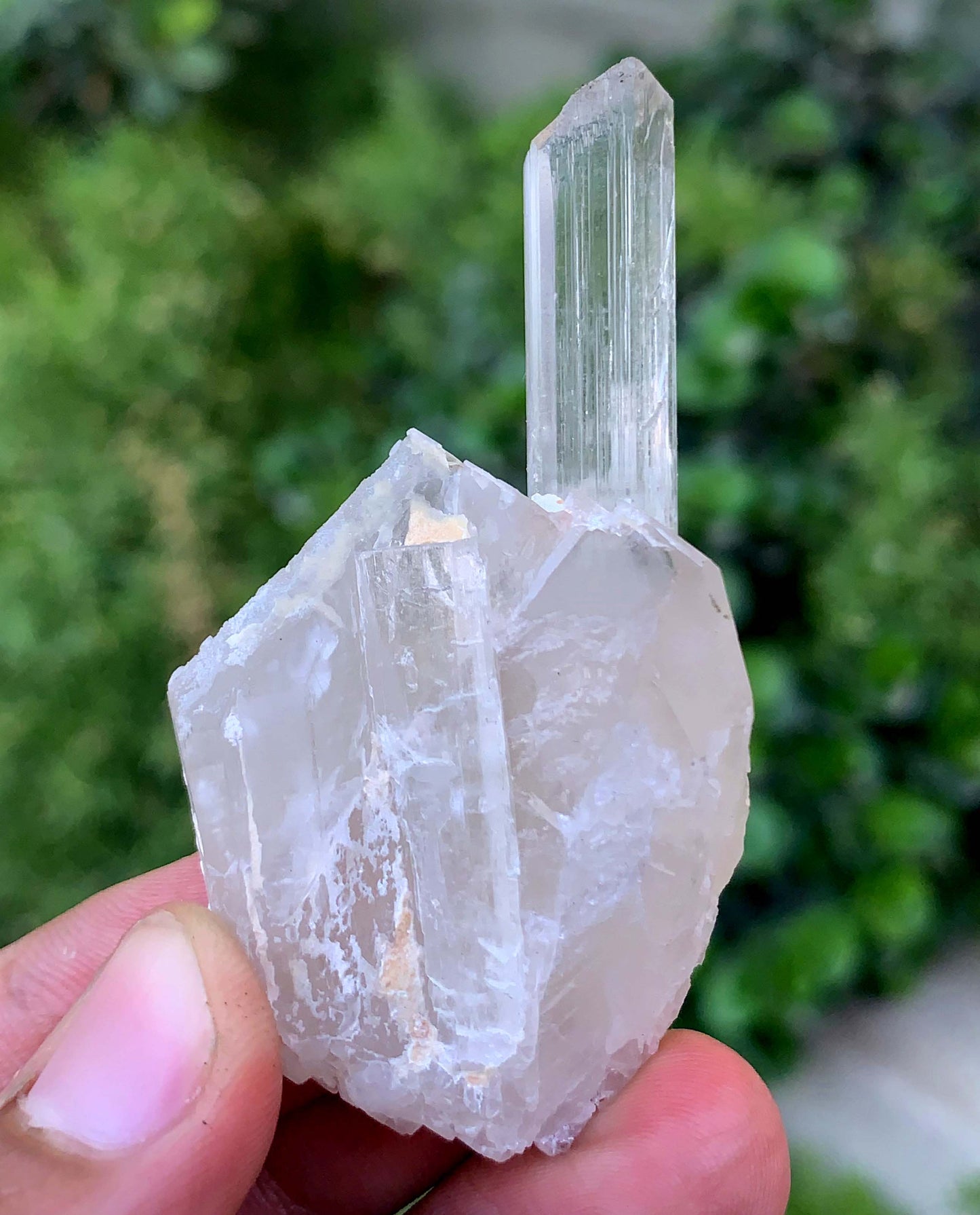Natural Terminated Yellow Triphane Kunzite On Quartz From Afghanistan