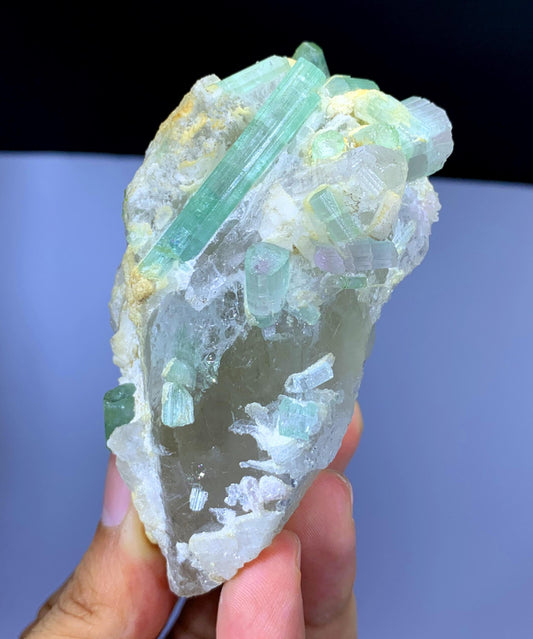 Natural Bicolor Tourmaline Crystals on Quartz from Afghanistan - 235 gram