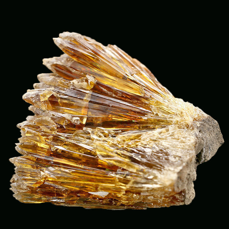 Natural Amber Gold Straw-shaped Vaterite Mineral Crystal Specimen Ornament