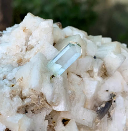 Diamond Cut Aquamarine on Microcline Feldspar Pakistan