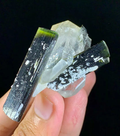 Green Cap Tourmaline Crystals on Quartz -Pakistan