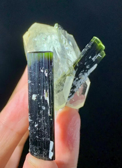 Green Cap Tourmaline Crystals on Quartz -Pakistan