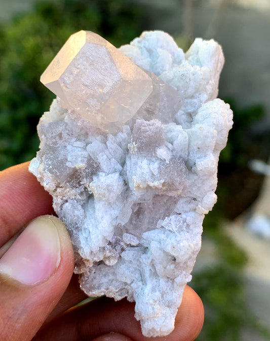 Natural Terminated Pink Morganite Crystal On Albite From Afghanistan - 55 Gram