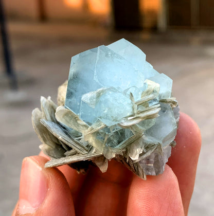 Stunning Blue Aquamarine Cluster on Mica from Nagar valley Pakistan - 58 grams