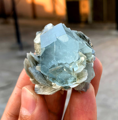 Stunning Blue Aquamarine Cluster on Mica from Nagar valley Pakistan - 58 grams