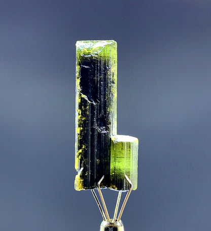 Natural Terminated Green Cap Tourmaline Crystal from Pakistan - 22 carats