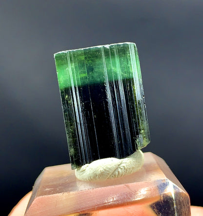 Natural Terminated Green Cap Tourmaline Crystal from Pakistan - 27.80 carats