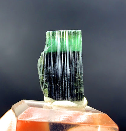 Natural Terminated Green Cap Tourmaline Crystal from Pakistan - 27.80 carats