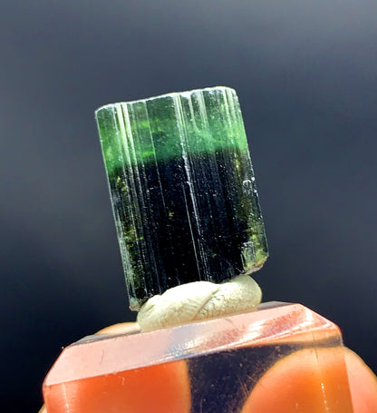 Natural Terminated Green Cap Tourmaline Crystal from Pakistan - 27.80 carats