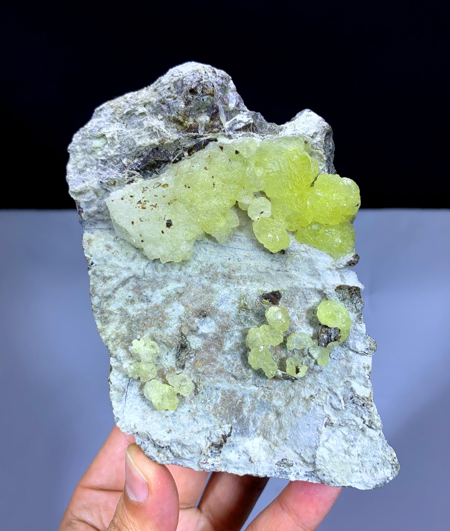 Yellow Color Bubble Brucite on Matrix from Pakistan - 541 gram