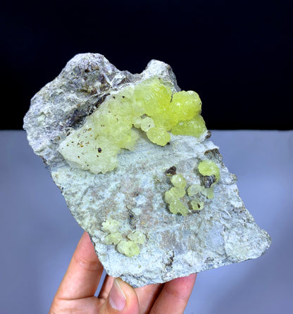 Yellow Color Bubble Brucite on Matrix from Pakistan - 541 gram