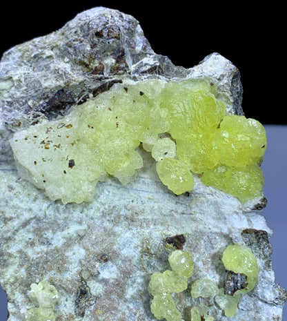 Yellow Color Bubble Brucite on Matrix from Pakistan - 541 gram