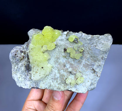 Yellow Color Bubble Brucite on Matrix from Pakistan - 541 gram