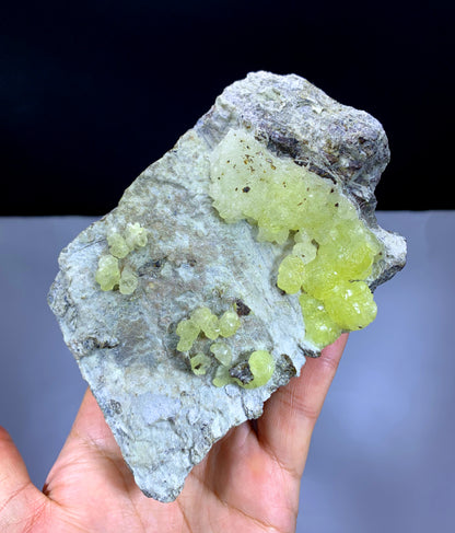 Yellow Color Bubble Brucite on Matrix from Pakistan - 541 gram