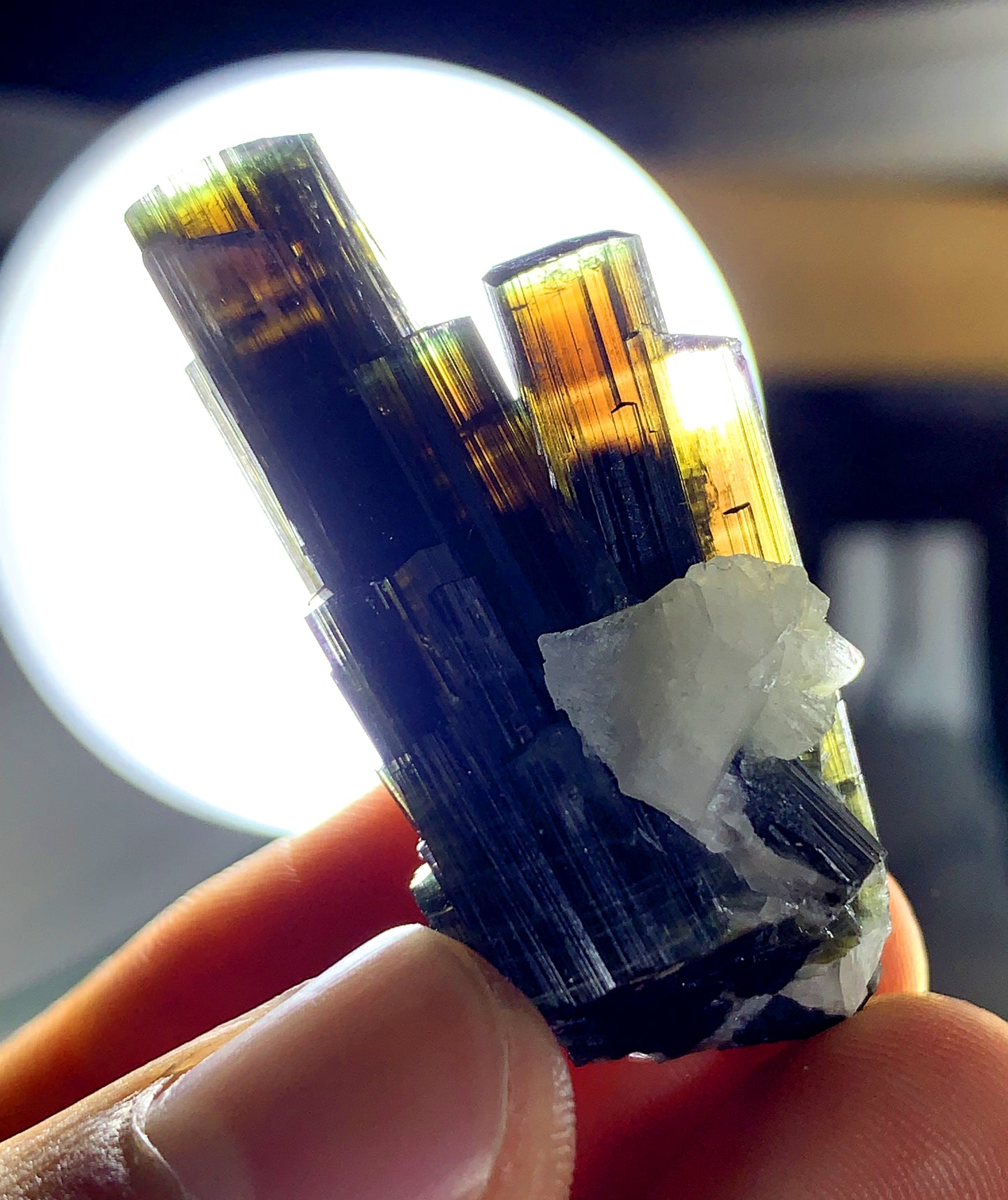 Stunning Multicolor Tourmaline Crystal from Pakistan - 16 gram