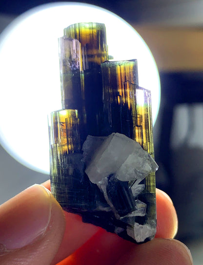 Stunning Multicolor Tourmaline Crystal from Pakistan - 16 gram