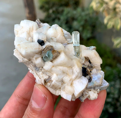 Diamond Cut Blue Aquamarine on Microcline Feldspar and Star Mica