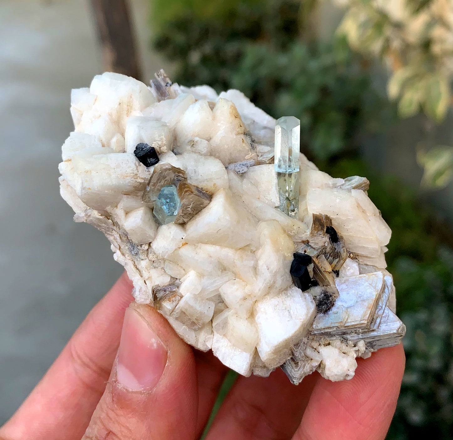 Diamond Cut Blue Aquamarine on Microcline Feldspar and Star Mica