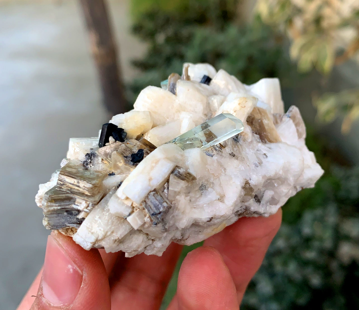 Diamond Cut Blue Aquamarine on Microcline Feldspar and Star Mica