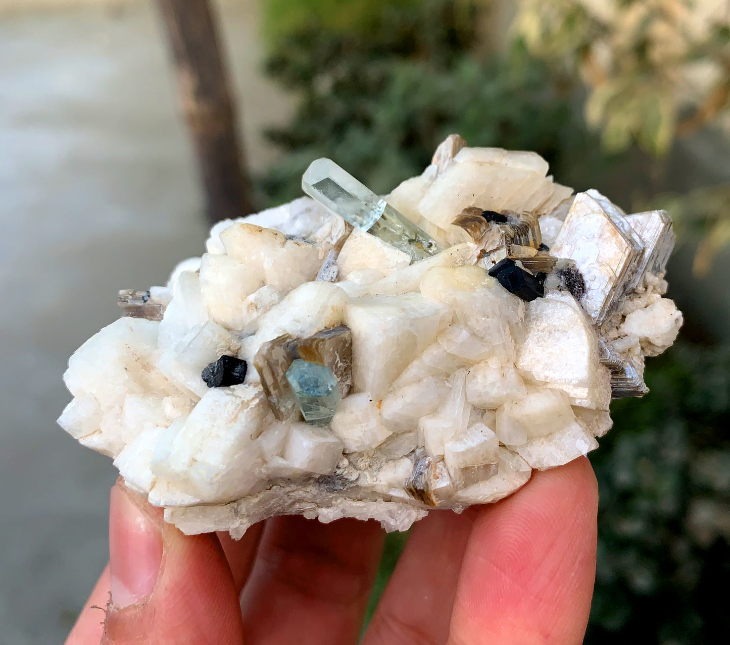 Diamond Cut Blue Aquamarine on Microcline Feldspar and Star Mica