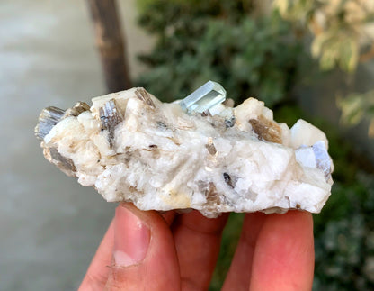 Diamond Cut Blue Aquamarine on Microcline Feldspar and Star Mica