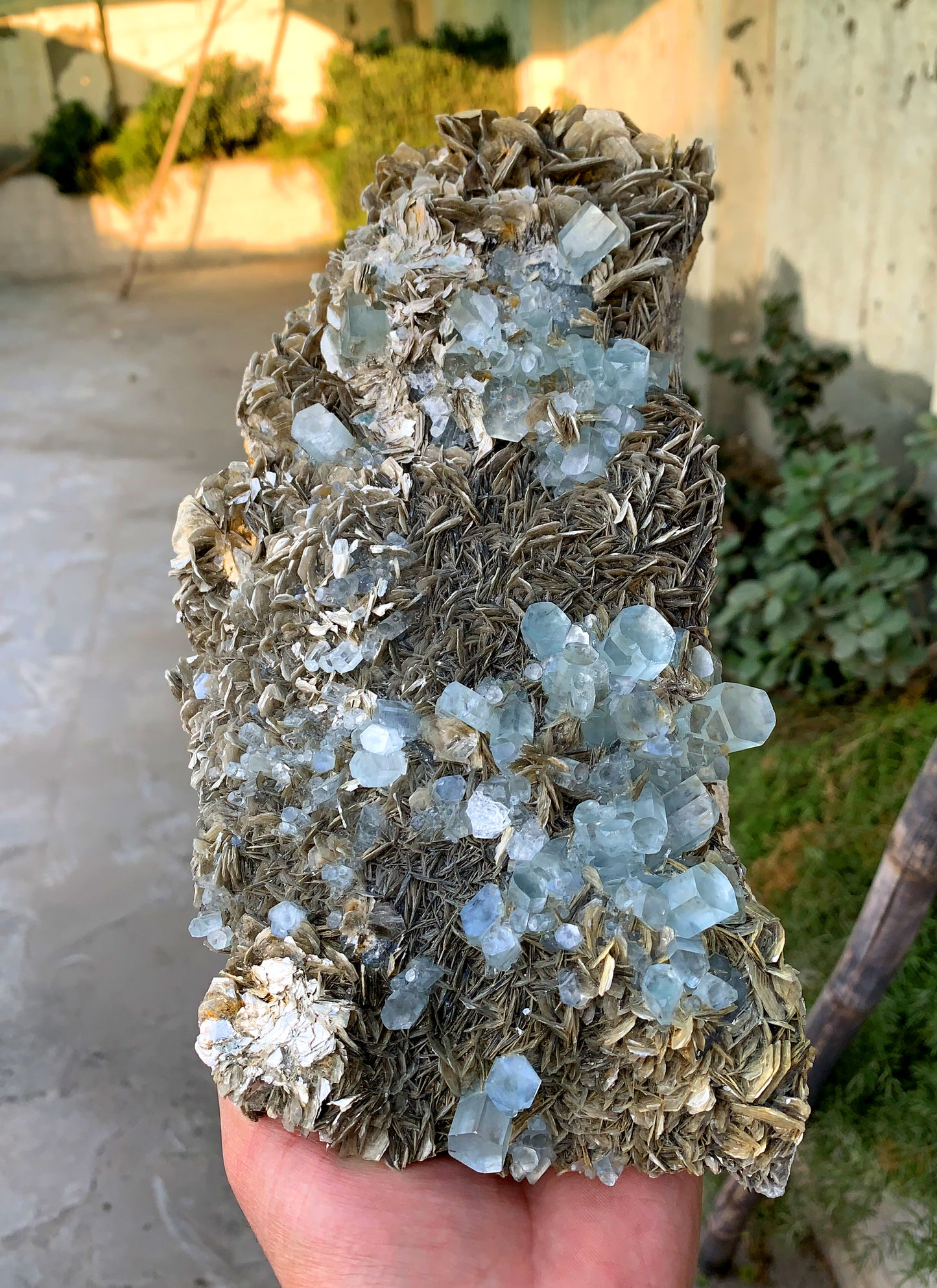 Museum Grade Sky Blue Aquamarine Cluster on Muscovite Pakistan