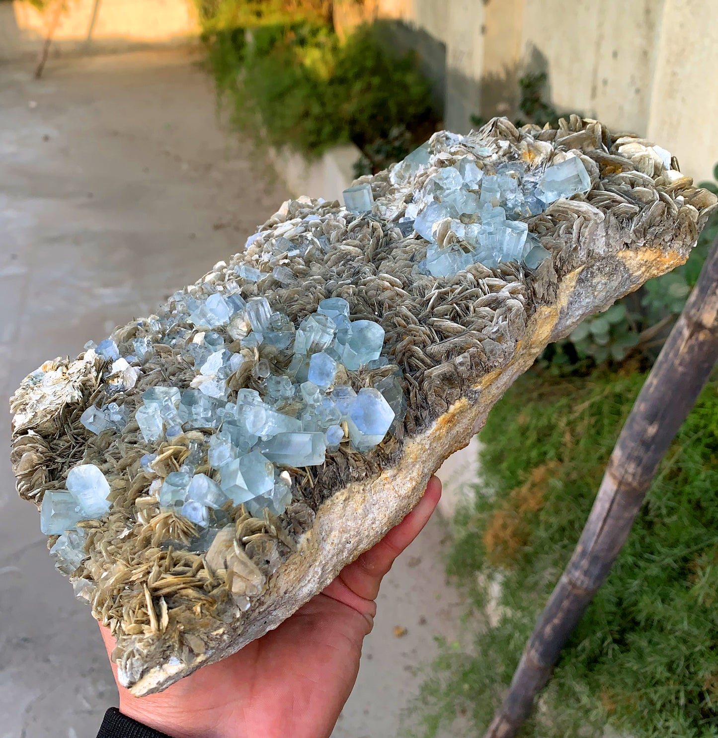 Museum Grade Sky Blue Aquamarine Cluster on Muscovite Pakistan