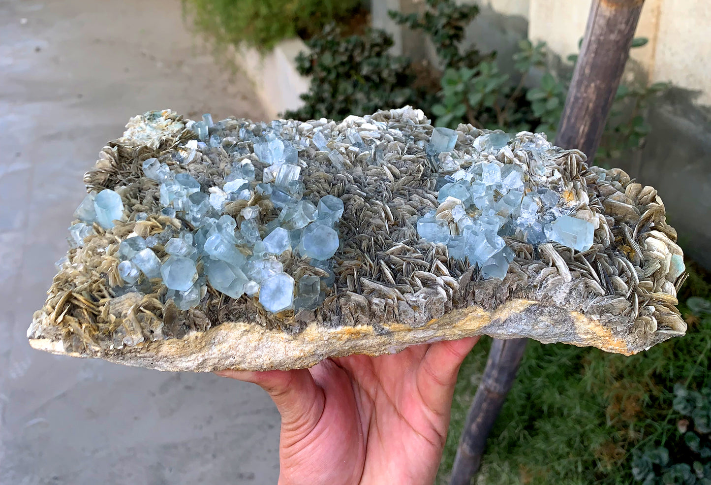 Museum Grade Sky Blue Aquamarine Cluster on Muscovite Pakistan