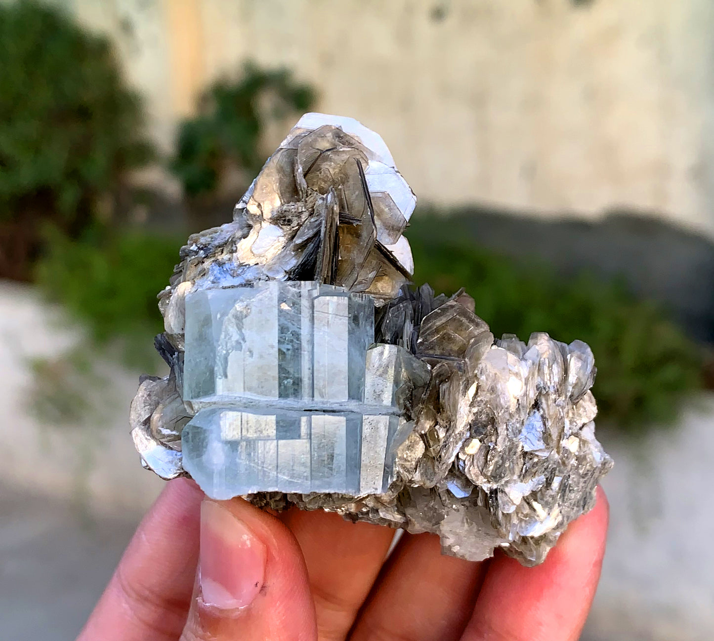 Natural Sky Blue Color Aquamarine Crystal on Muscovite Mica