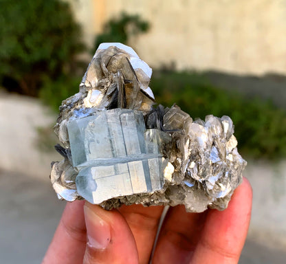 Natural Sky Blue Color Aquamarine Crystal on Muscovite Mica