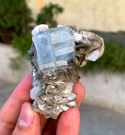 Natural Sky Blue Color Aquamarine Crystal on Muscovite Mica