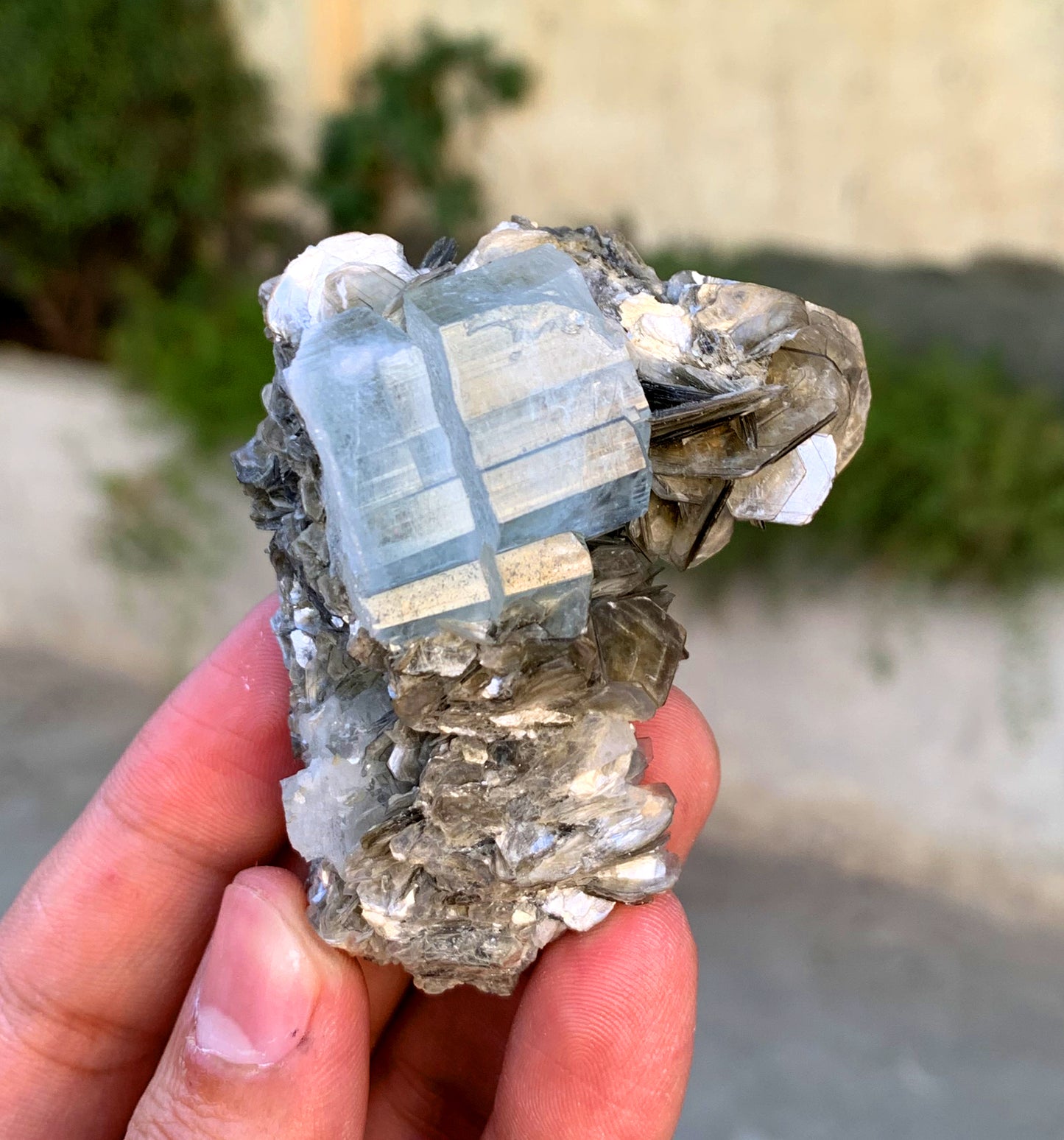 Natural Sky Blue Color Aquamarine Crystal on Muscovite Mica