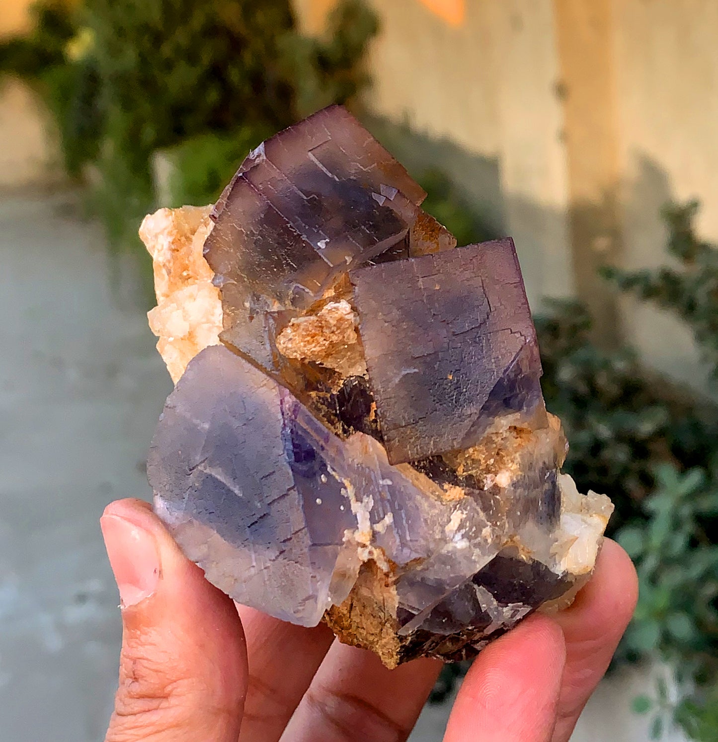 Amazing Purple Blue Cubic Phantom Fluorite with Etched Calcite 377 gram