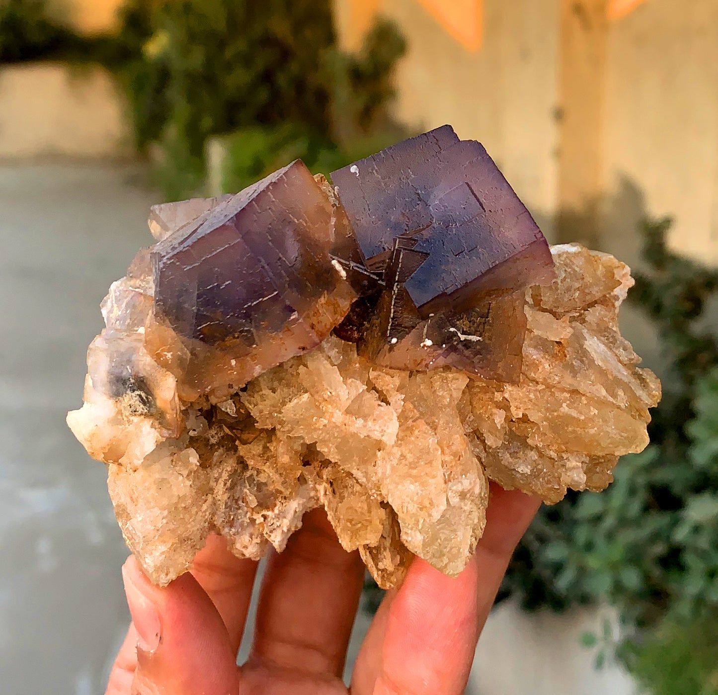 Amazing Purple Blue Cubic Phantom Fluorite with Etched Calcite 377 gram