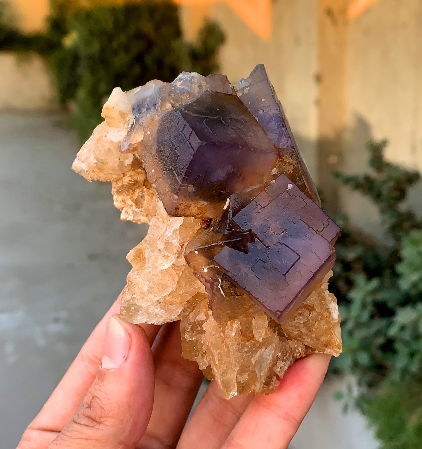 Amazing Purple Blue Cubic Phantom Fluorite with Etched Calcite 377 gram