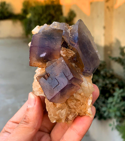 Amazing Purple Blue Cubic Phantom Fluorite with Etched Calcite 377 gram