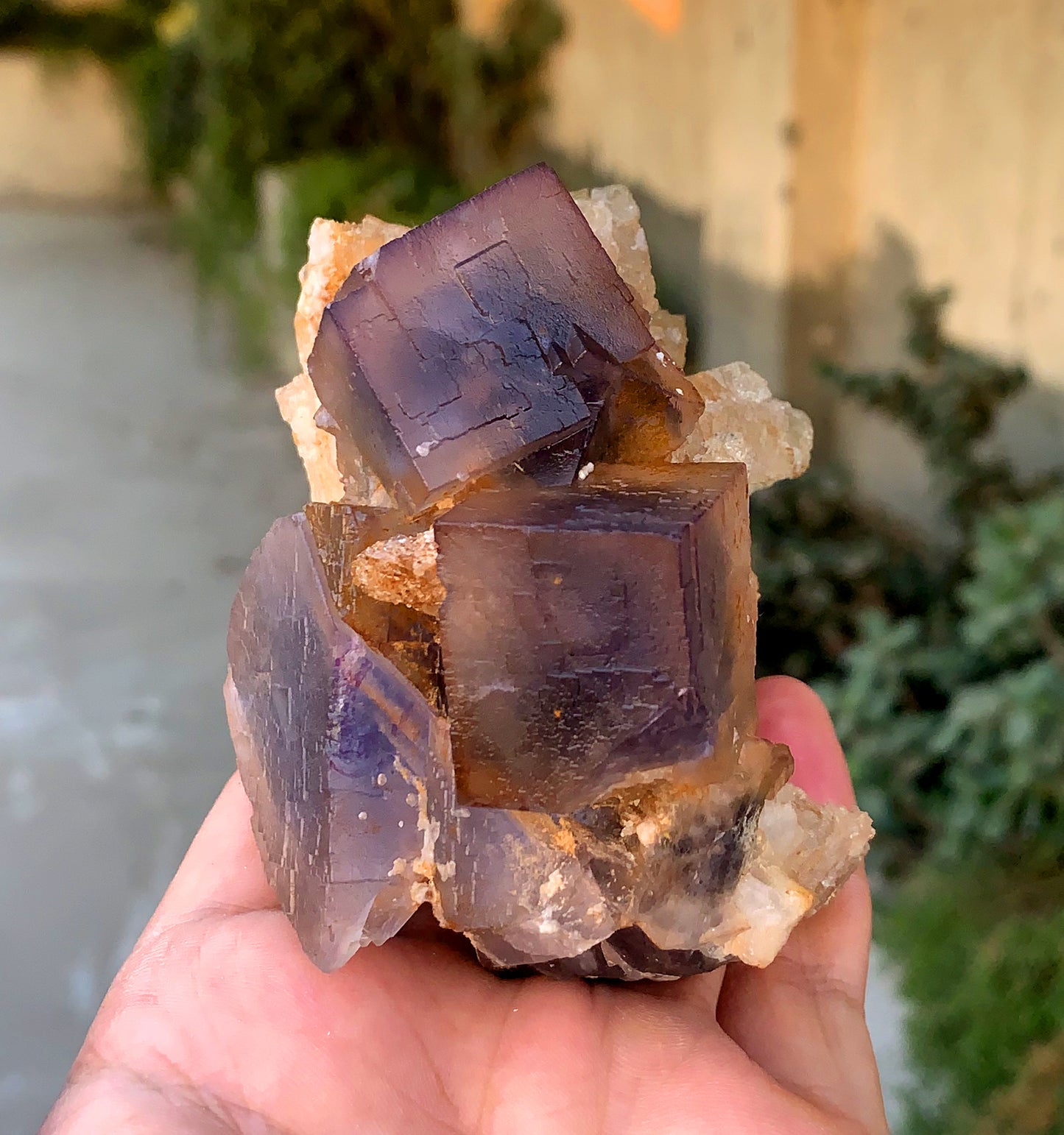 Amazing Purple Blue Cubic Phantom Fluorite with Etched Calcite 377 gram