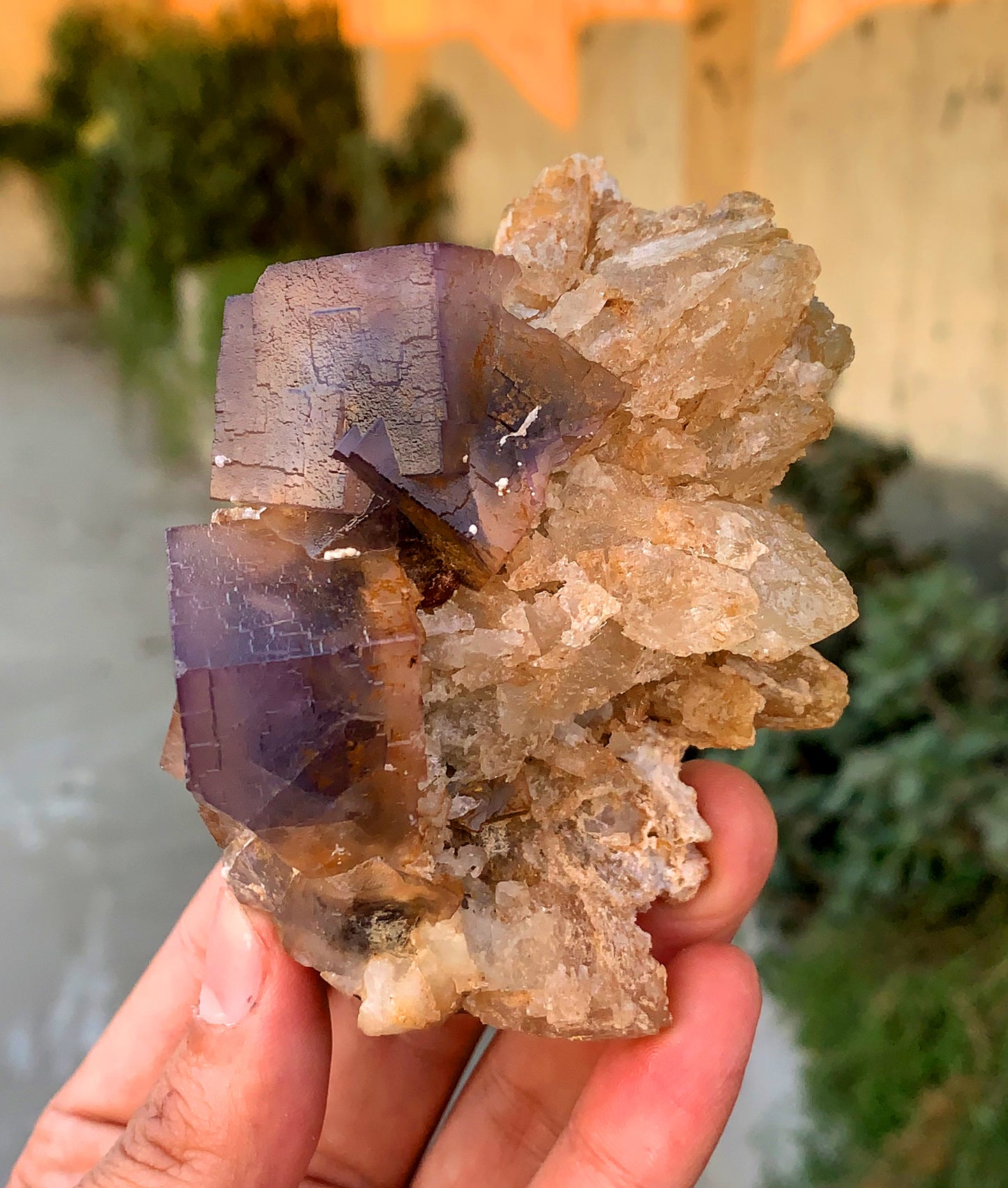 Amazing Purple Blue Cubic Phantom Fluorite with Etched Calcite 377 gram