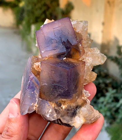 Amazing Purple Blue Cubic Phantom Fluorite with Etched Calcite 377 gram