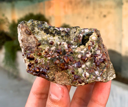 Orange Hessonite Garnet Crystals on Matrix, Hessonite Garnet Specimen 230 grams