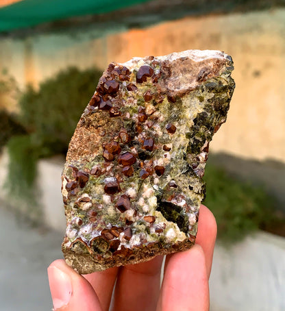 Orange Hessonite Garnet Crystals on Matrix, Hessonite Garnet Specimen 230 grams