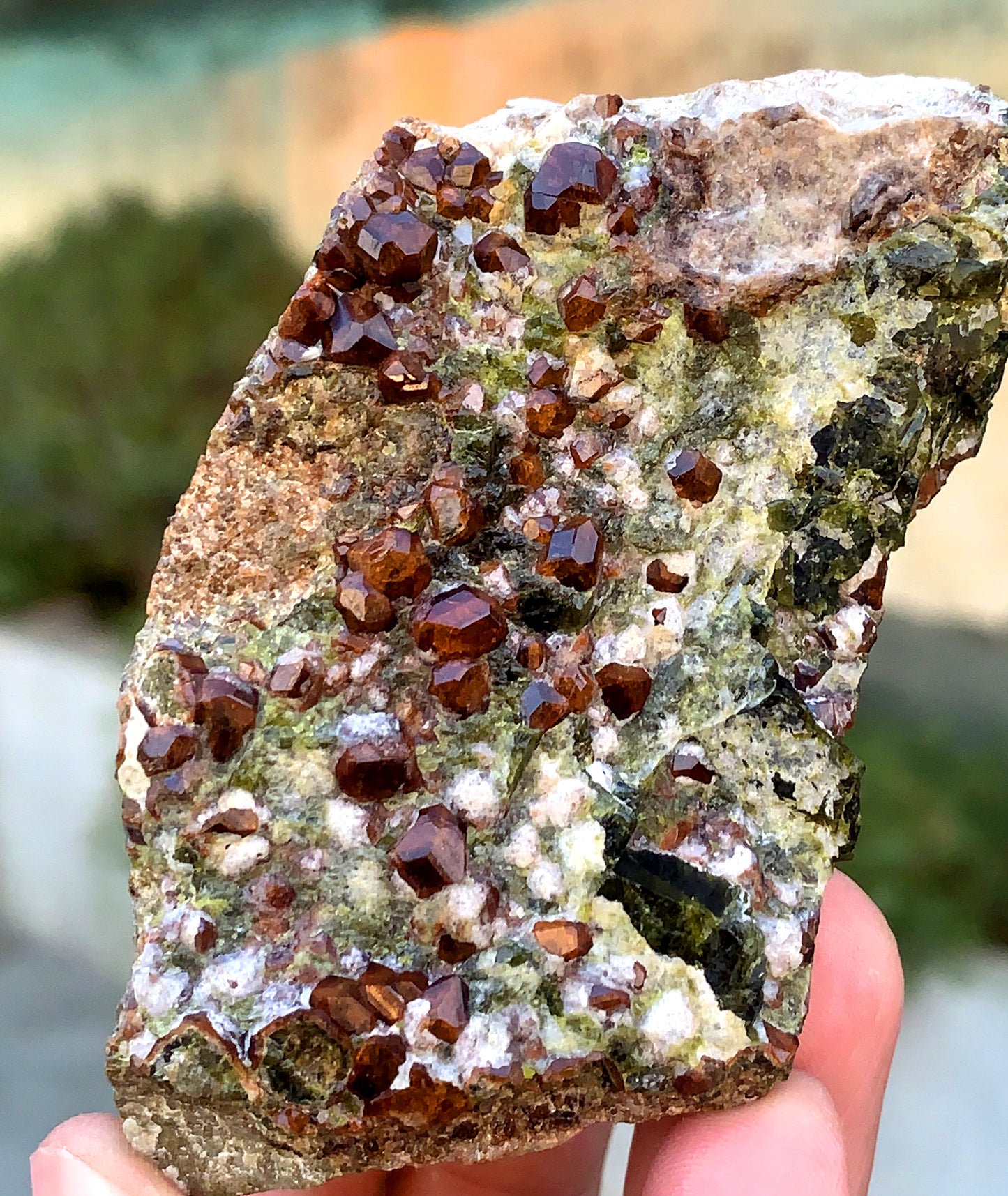 Orange Hessonite Garnet Crystals on Matrix, Hessonite Garnet Specimen 230 grams