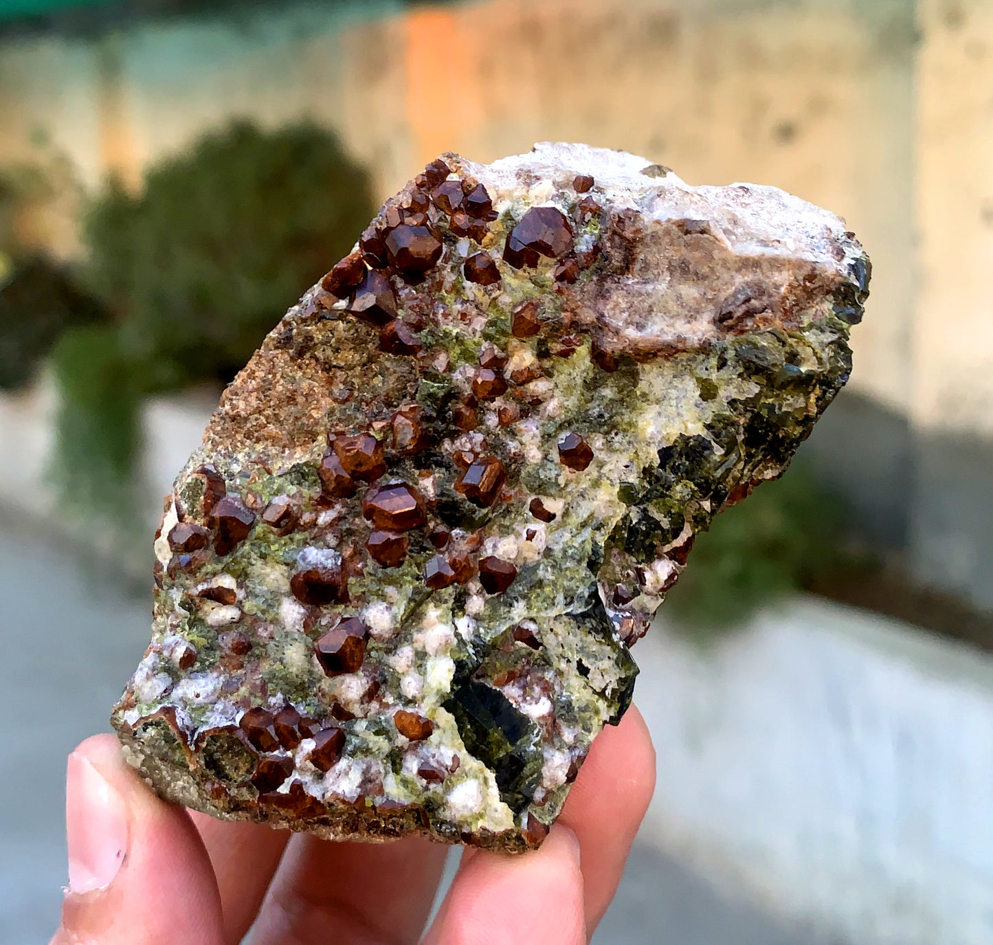 Orange Hessonite Garnet Crystals on Matrix, Hessonite Garnet Specimen 230 grams