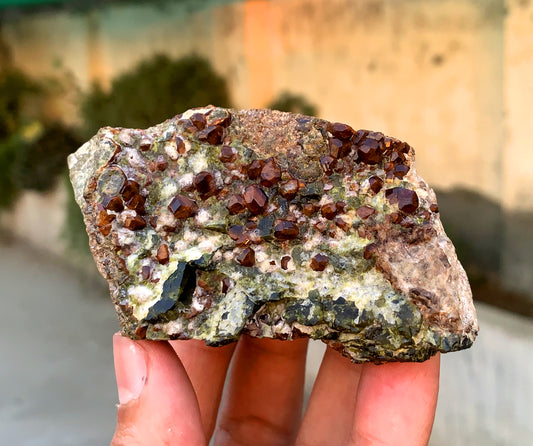 Orange Hessonite Garnet Crystals on Matrix, Hessonite Garnet Specimen 230 grams